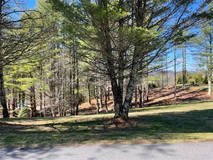 TBD Little Harbour Court, Vilas, NC 28692 - #3