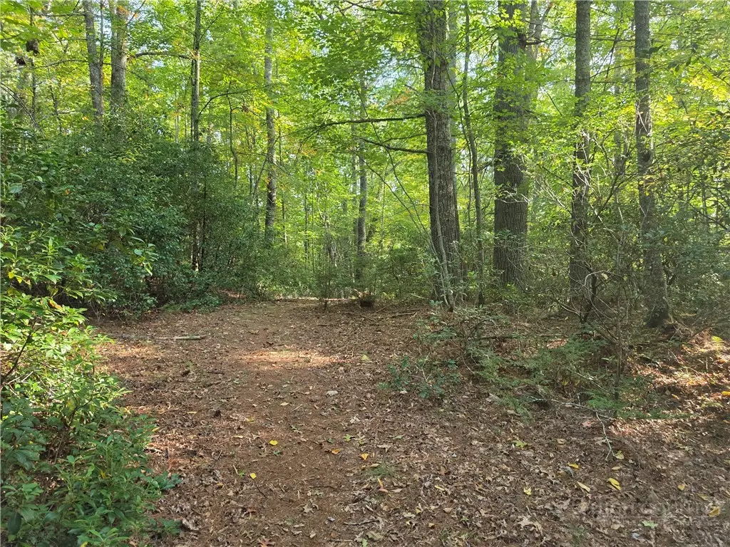 TBD Off Windy Acres Ridge Road, Fleetwood, NC 28626 - #1