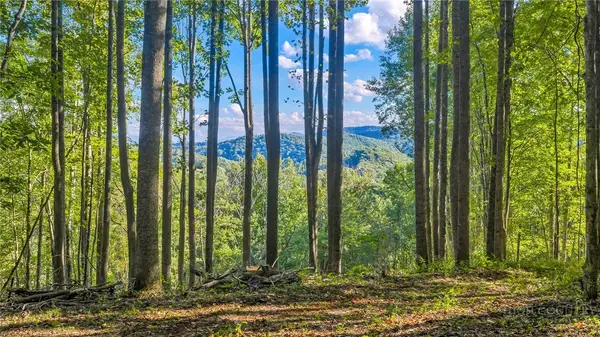TBD Mud Creek Road, Whitetop, VA 24292
