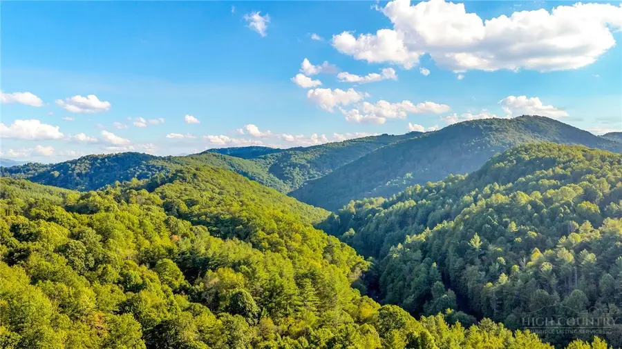TBD Mud Creek Road, Whitetop, VA 24292 - #3