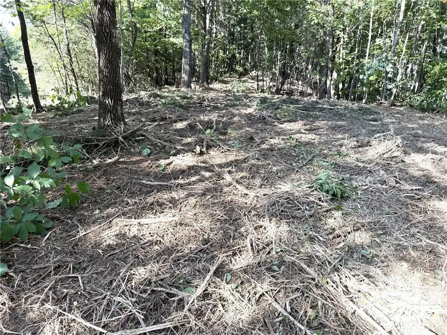TBD Ridge Run Road, Boomer, NC 28606 - #3