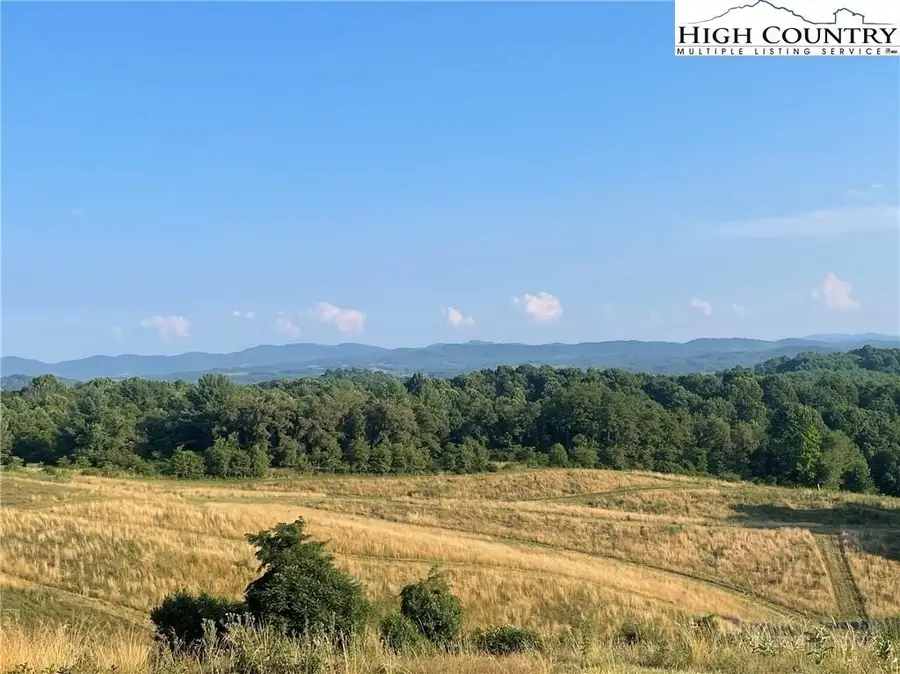 7764 Wilson Highway, Independence, VA 24348 - #2