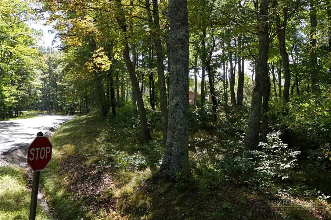 Lot 42 Rock Spring Circle, Sugar Mountain, NC 28604 - #1
