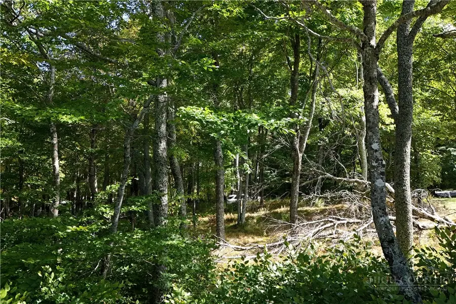 Lot 42 Rock Spring Circle, Sugar Mountain, NC 28604 - #2