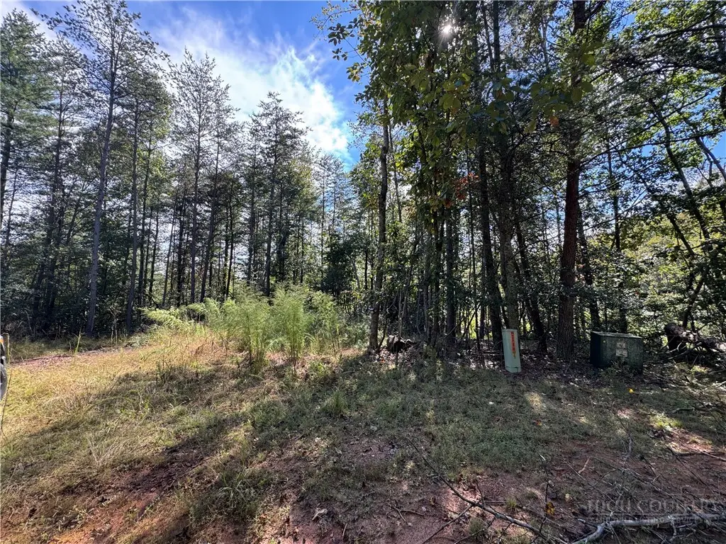 TBD Rainbow Trout Drive, Hays, NC 28635 - #1