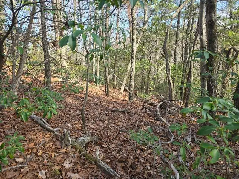 Lot 10 Heavenly Mountain Drive, Boone, NC 28607 - #2