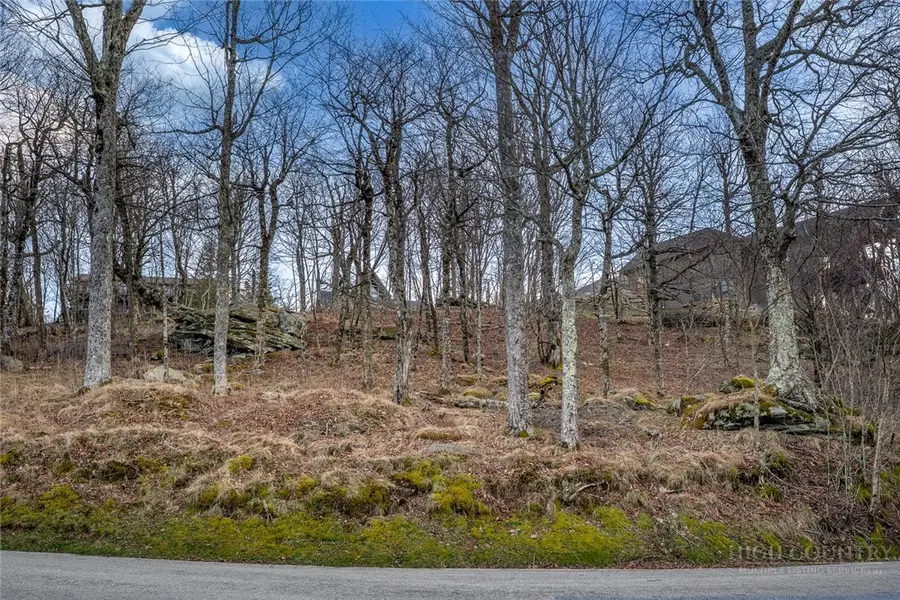 L21 Woodland Way, Beech Mountain, NC 28604 - #2