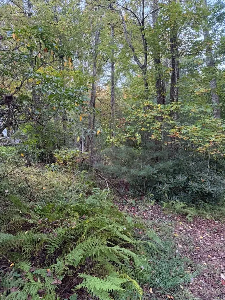 TBD Mountain Lake Road, Ennice, NC 28623 - #1