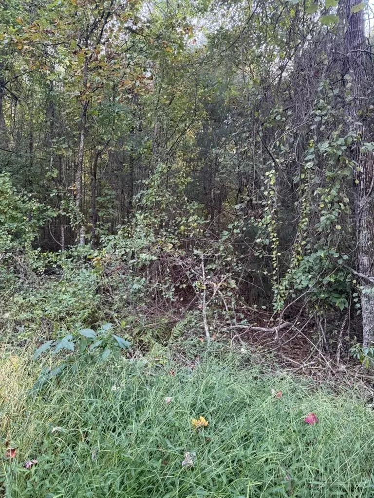 TBD Mountain Lake Road, Ennice, NC 28623 - #2