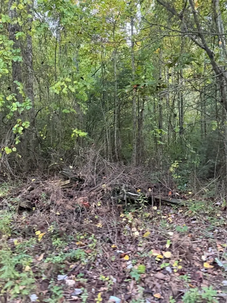 TBD Mountain Lake Road, Ennice, NC 28623 - #3