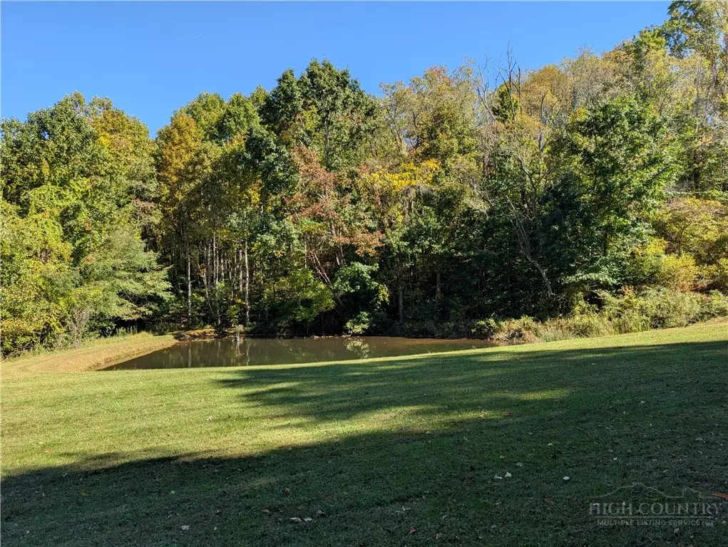 35 Us Highway 221 Highway, Sparta, NC 28675 - #1