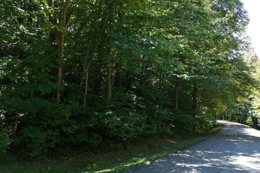 Lot 1 Castlefern Road, Banner Elk, NC 28604 - #1