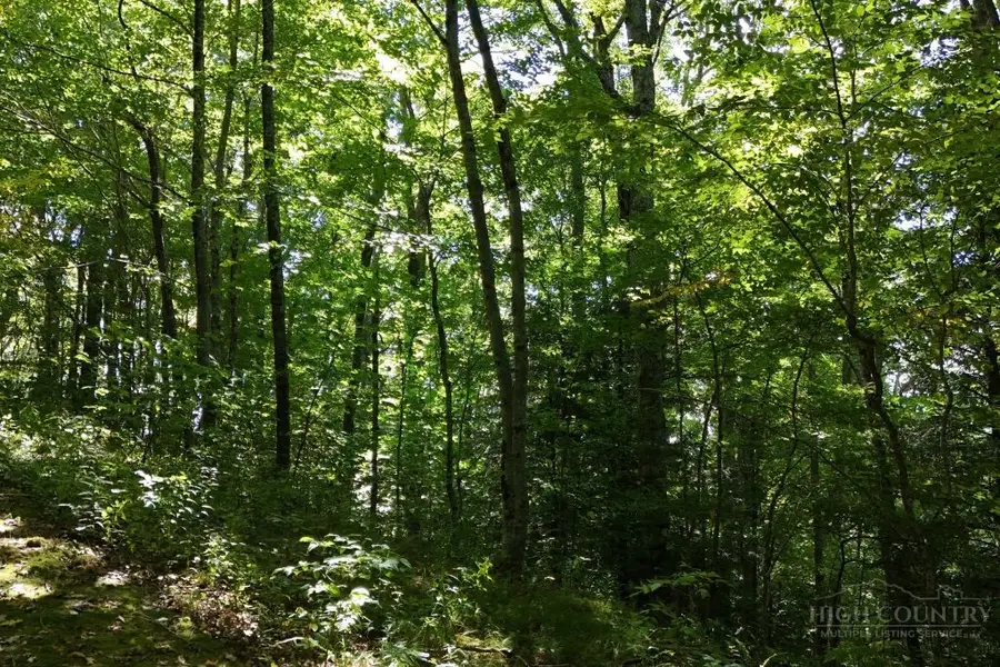 Lot 1 Castlefern Road, Banner Elk, NC 28604 - #2