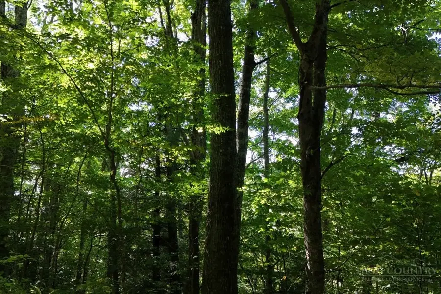 Lot 1 Castlefern Road, Banner Elk, NC 28604 - #3