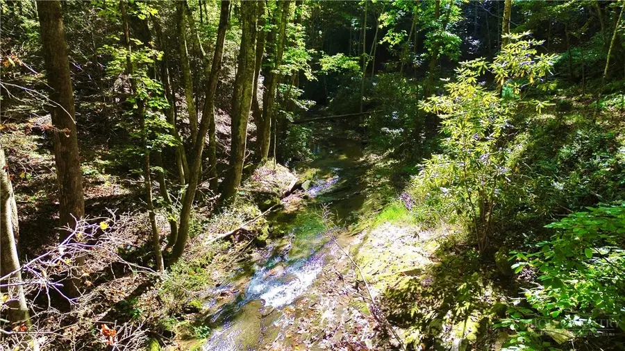 175 Dallas Watson Lane, Deep Gap, NC 28618 - #3