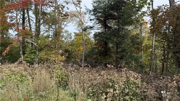 111 Foxgrape Hollow Road, Beech Mountain, NC 28604