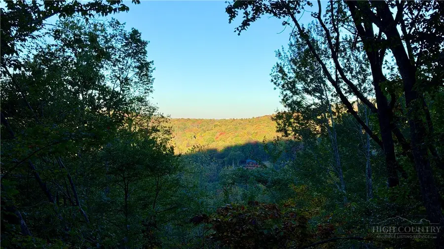 111 Foxgrape Hollow Road, Beech Mountain, NC 28604 - #3