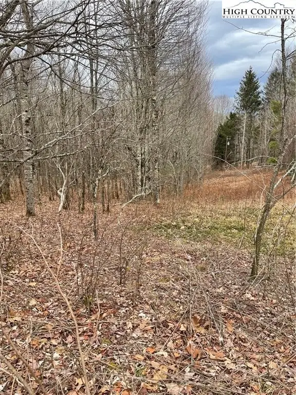 TBD Old Mountain Road, Banner Elk, NC 28604 - #1