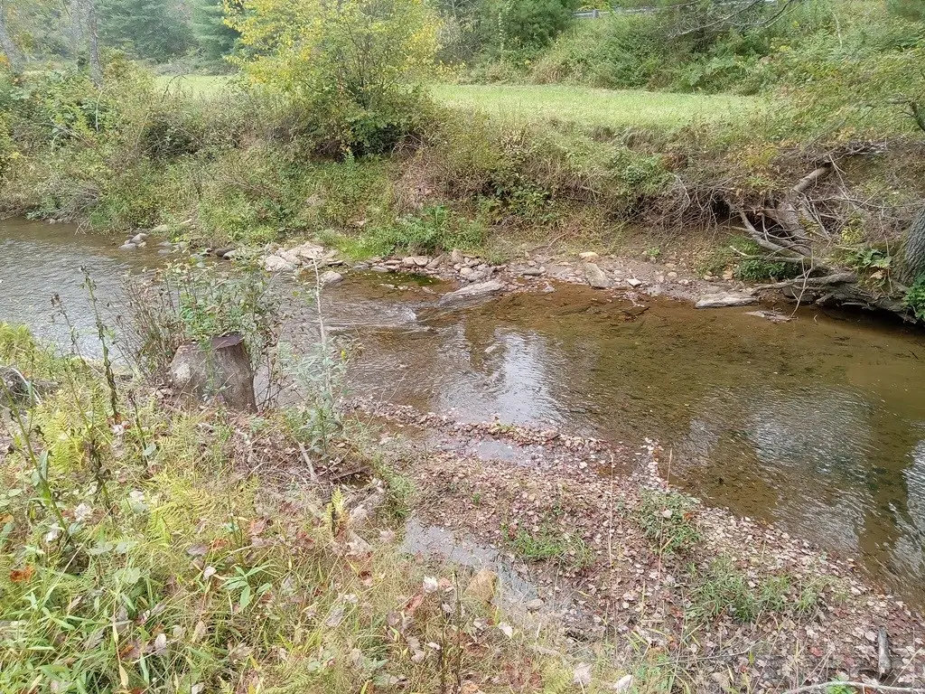 TBD Big Peak Creek Road, Laurel Springs, NC 28644 - #1