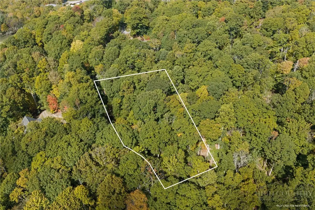 Lot 18 Treetop Lane, Banner Elk, NC 28604 - #1