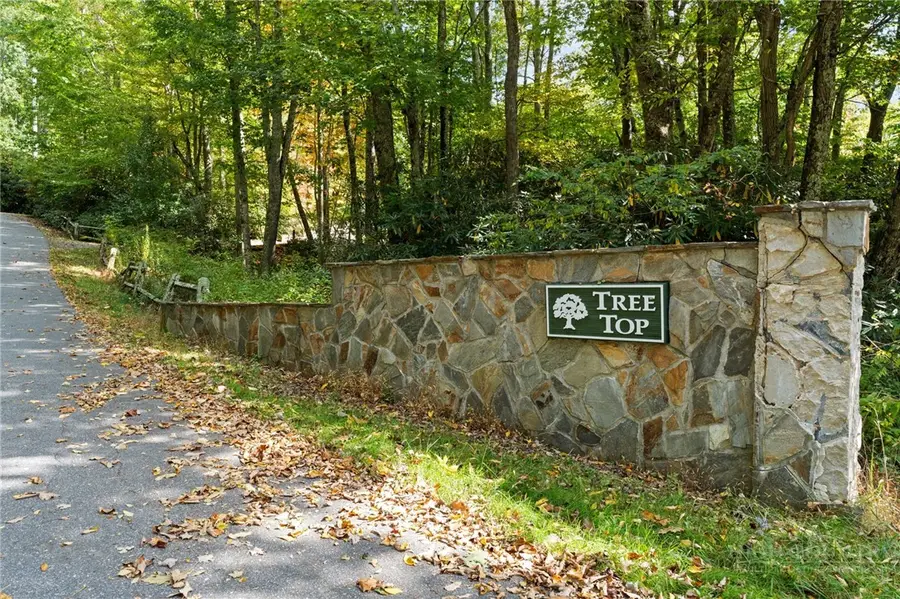 Lot 18 Treetop Lane, Banner Elk, NC 28604 - #2