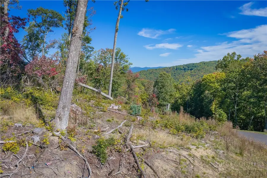 WR-17 Firethorne Lane, Elk Park, NC 28622 - #3