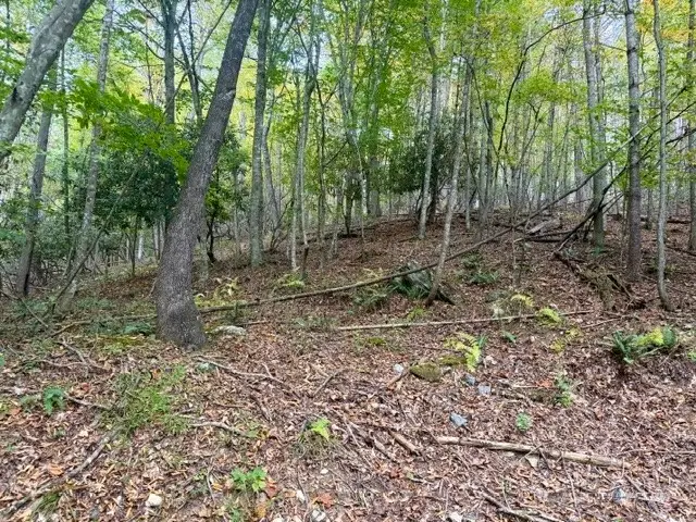 TBD E Weaver Ford Road, Grassy Creek, NC 28631 - #1
