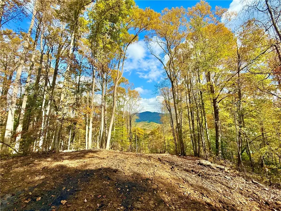 Lot 6 Cherokee Oaks Lane, Warrensville, NC 28693 - #2