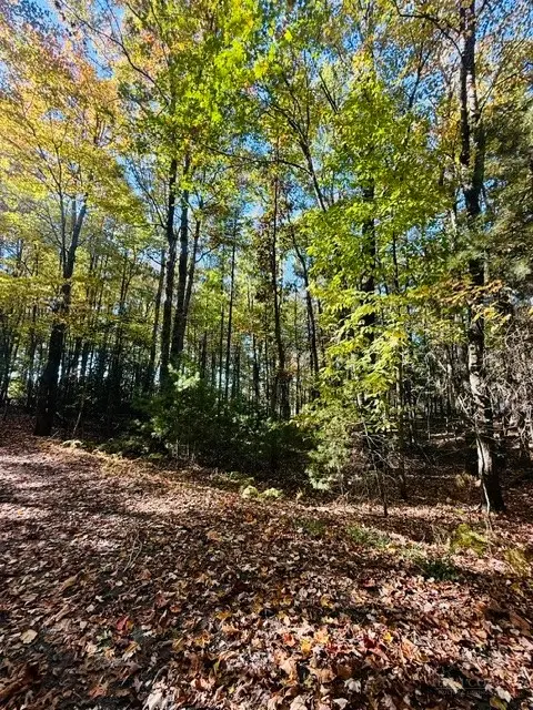 11 Greenview, Jefferson, NC 28640 - #3