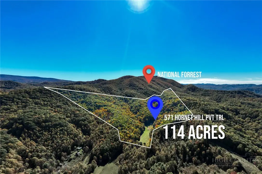 571 Hornet Hill Pvt Trail, Butler, TN 37640 - #1