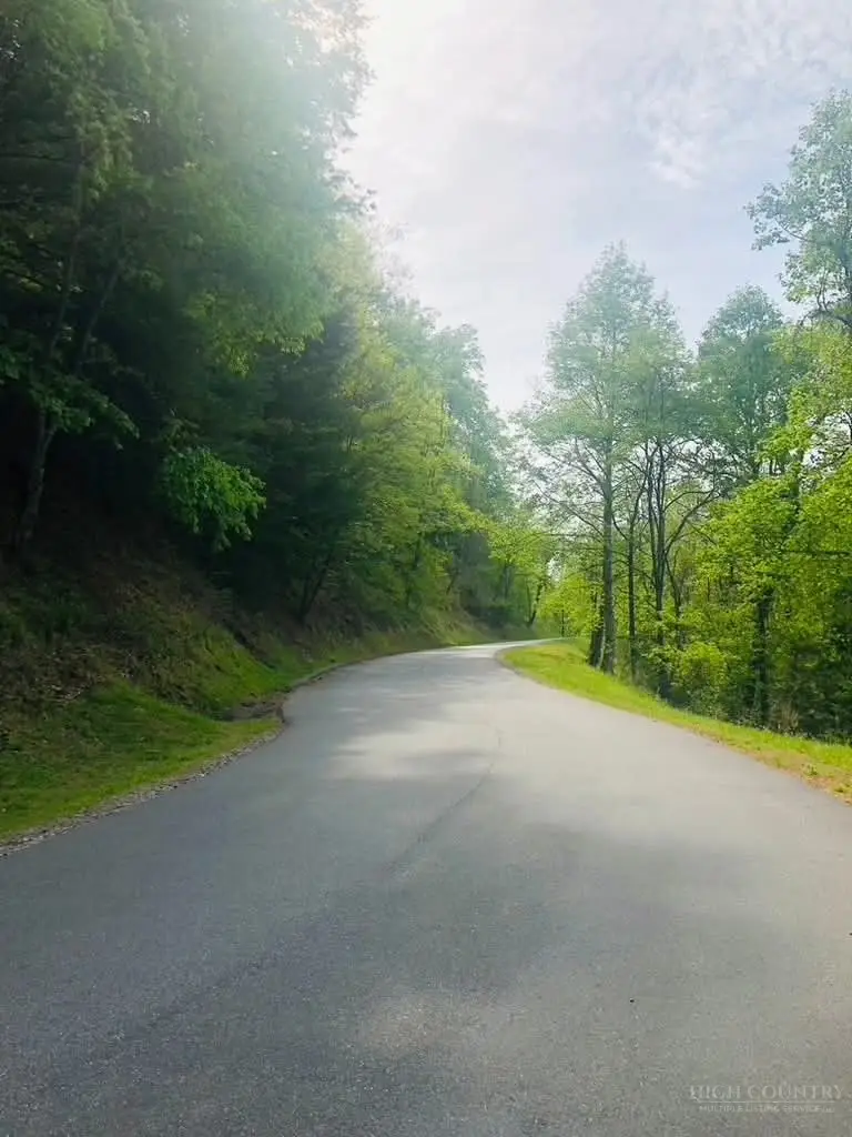 Lot 7 Gold Run Drive, Ferguson, NC 28624 - #3