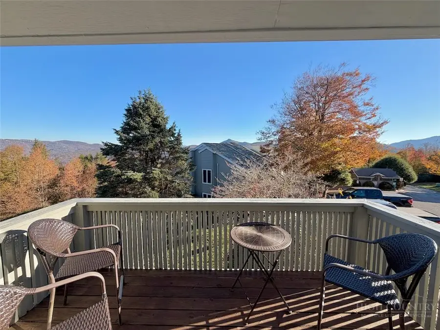 367 Skyleaf Drive #D12, Sugar Mountain, NC 28604 - #2