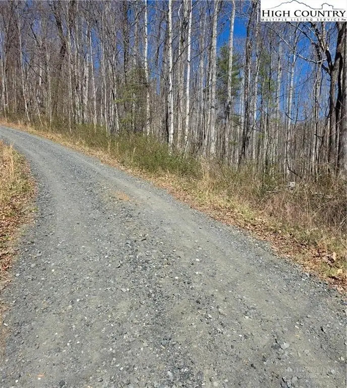 23 Altamont Way, Newland, NC 28657 - #2