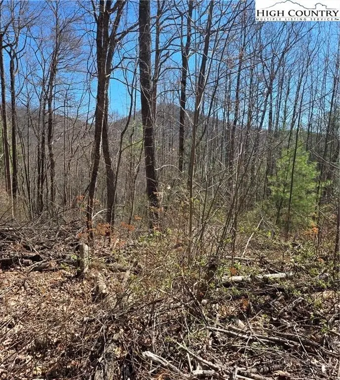 23 Altamont Way, Newland, NC 28657 - #3