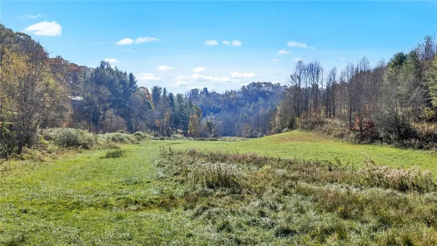 TBD Brushy Fork Road, Creston, NC 28615 - #2