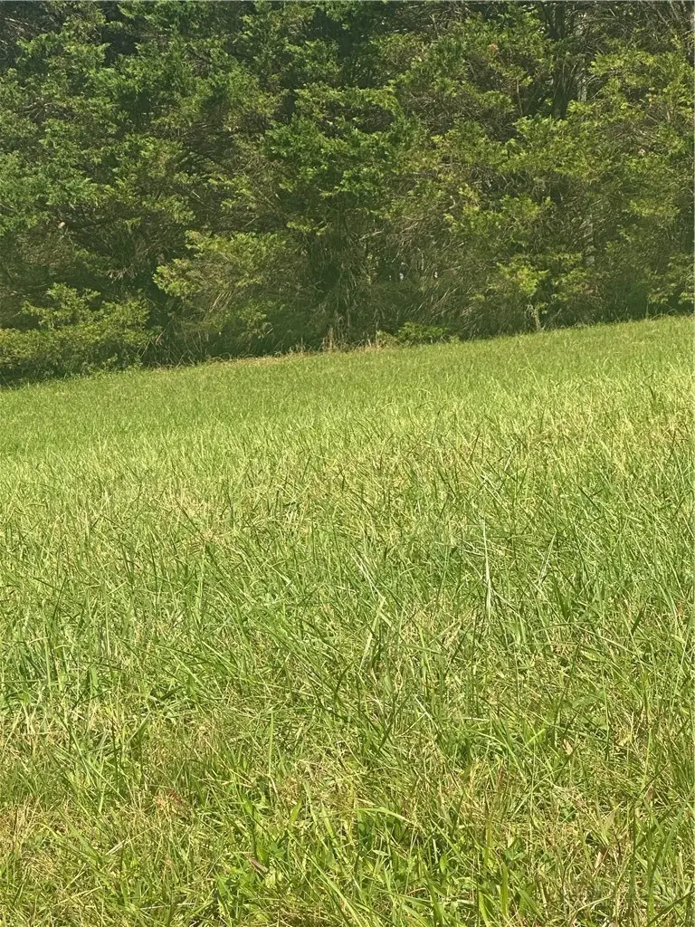 Lot 104 Parson Lane, North Wilkesboro, NC 28659 - #1