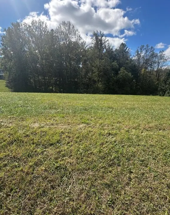 Lot 218 Canterbury Drive, North Wilkesboro, NC 28659 - #1