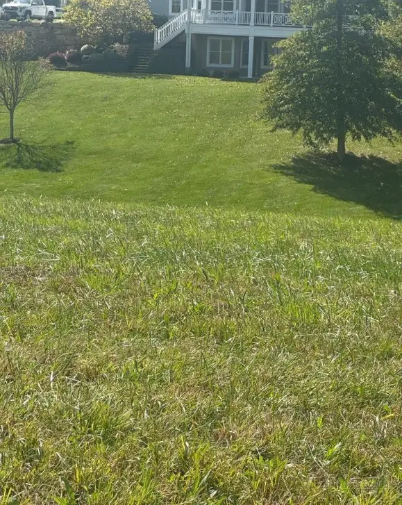 Lot 219 Canterbury Drive, North Wilkesboro, NC 28659 - #1