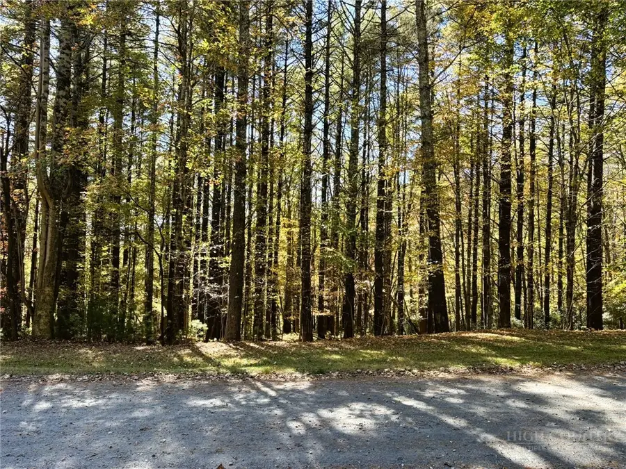 Lot #25 Cedar Ridge Drive, Todd, NC 28684 - #2