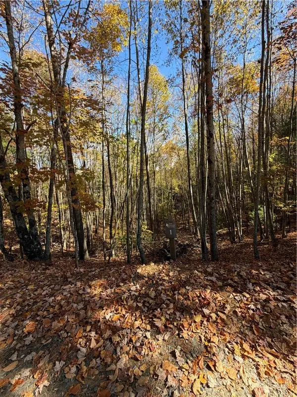 TBD Lower Springs Drive, Jefferson, NC 28640