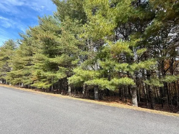 Lot 30 Woodland Shores, Jefferson, NC 28640