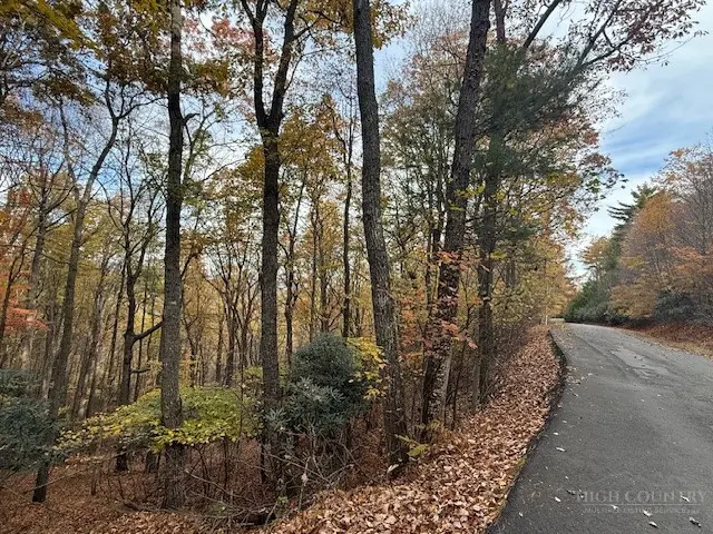 TBD Woodland Shores, Jefferson, NC 28640 - #3