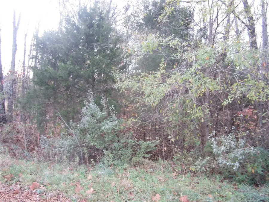 185 S Main Street, Denton, NC 27239 - Image #2