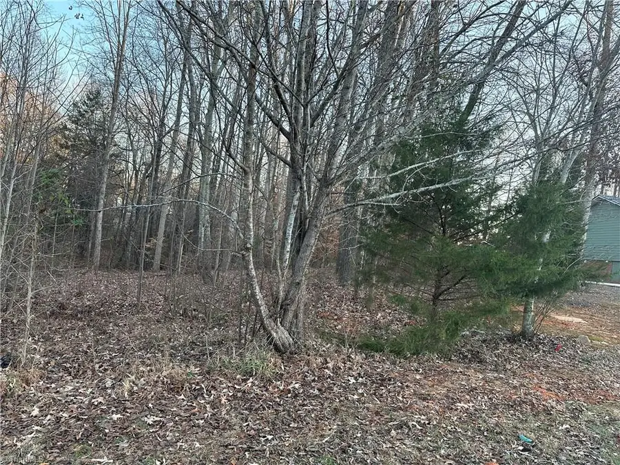 0 Booker T Womble Road, Randleman, NC 27317 - Image #2