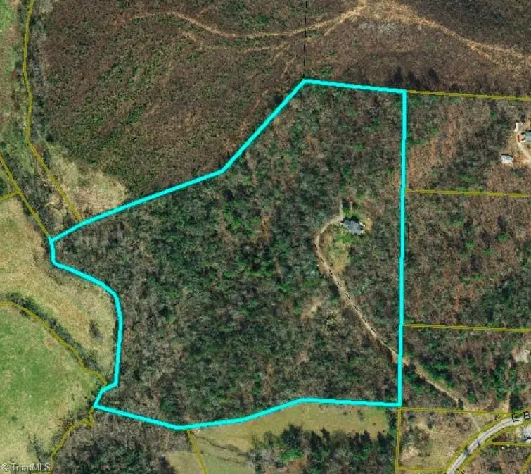 263 Bells View Lane, Purlear, NC 28665 - Image #2