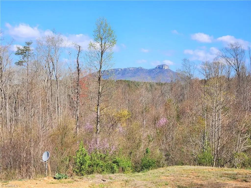 xx 1.686 acres Grassy Creek Road, Pinnacle, NC 27043 - Image #1