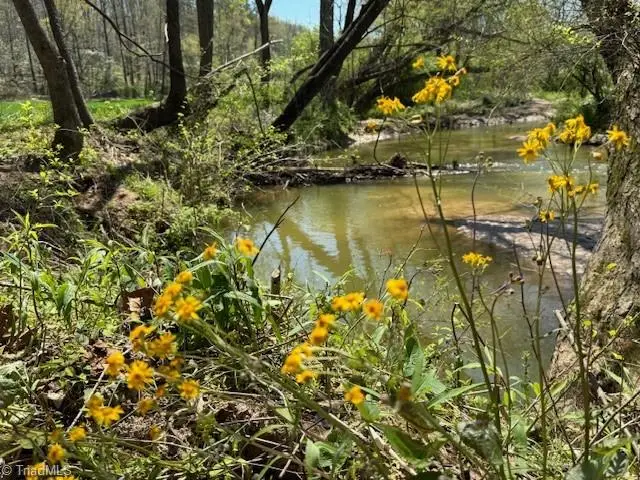 TBD German Farm Road, Boomer, NC 28606 - #2