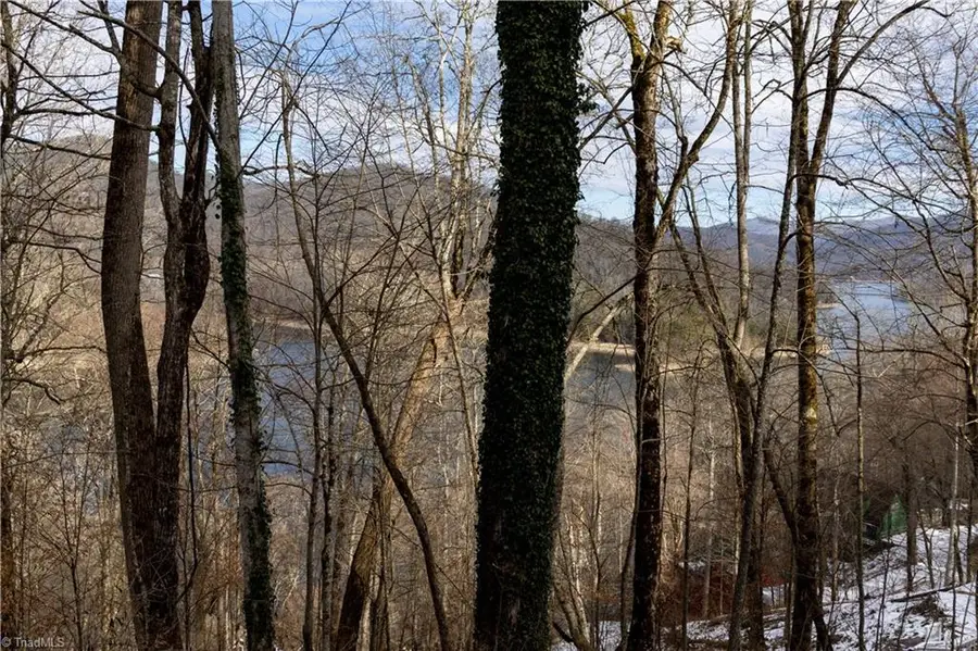 Lot 35 Nantahala Shores Road, Topton, NC 28781 - Image #2