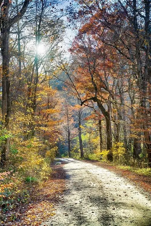 Lot 35 Nantahala Shores Road, Topton, NC 28781 - Image #3