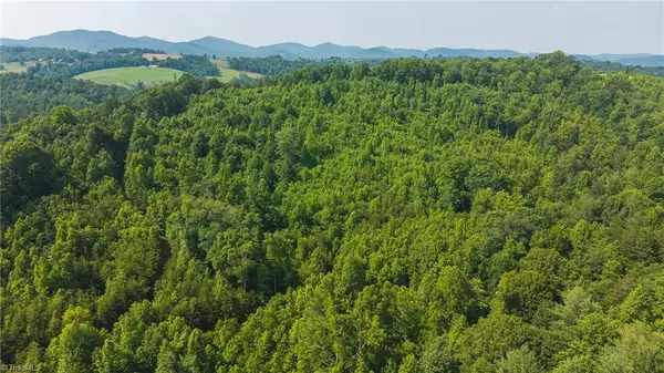 000 Old Vashti Road #2, Taylorsville, NC 28681